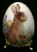 Eggs 1l