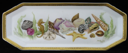 Sea & Shells1a
