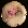 Roses2g