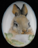 Eggs 1h