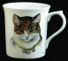 Cats1e