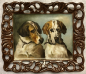Animals1f