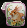 Rabbits2c