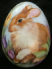Eggs 1j