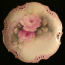 Roses1g