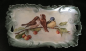 Birds1o