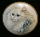 Cats2b
